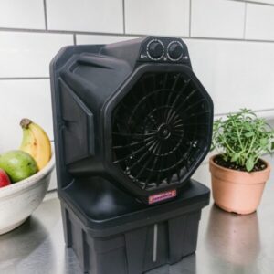 12” Sonic Personal Cooler